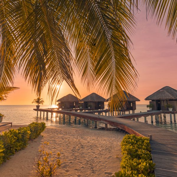 fantastic-island-beach-sunset-sky-with-palm-tree-leaves-luxury-tropical-resort-villas-in-maldives